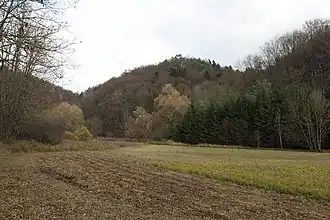 Bild 3: Ansicht des Altschlossberges von Westen aus dem Brunnengrabental (November&nbsp;2013)