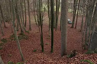 Bild 8: Blick von der Burgstelle über Graben und Wall nach Osten (November&nbsp;2013)