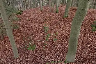 Bild 7: L-förmiger Grundmauerrest (November&nbsp;2013)