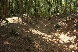 Bild 3: Ansicht des Halsgrabens mit dem Außenwall, rechts die Burgfläche