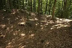 Bild 4: Der vermutliche Brückenpfeiler im Graben, im Vordergrund die Burgfläche