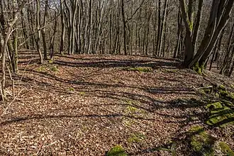 Bild 7: Stelle eines quadratischen Gebäudes, am rechten Bildrand ist noch die Einmündung der Treppenanlage zu erkennen (März&nbsp;2015)