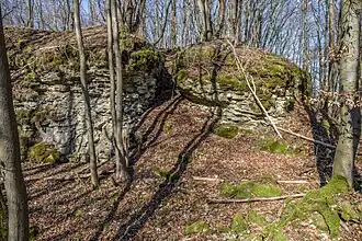 Bild 8: Südseite des Burgfelsens, im Bild sind auch die Treppenstufen erkennbar, die durch einen Felsspalt auf das Felsplateau führen (März&nbsp;2015)