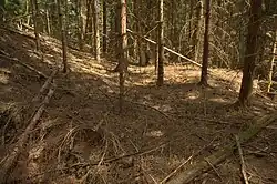 Bild 10: Terrasse im Süden des Hügels