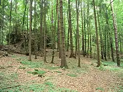 Bild 1: Blick auf das Gelände der Vorburg, links und im Hintergrund der Felsen der Oberburg