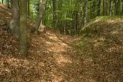 Bild 5: Blick in den Abschnittsgraben, links die Hauptburg