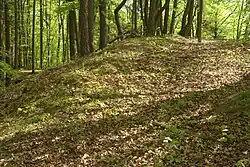 Bild 7: Wall an der Nordseite der Hauptburg, der Rest der Ringmauer