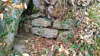 Mauerreste an der nördlichen Hangkante, bei der Ausgrabung nachgewiesener Eckbereich der Ringmauer (Schnitt 1A[6])