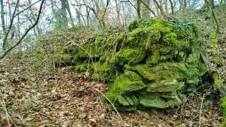 Burgmauerreste am nordwestlichen Wall