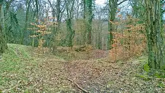 Blick in den zentralen Burghügel