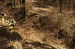 Bild 10: Halsgraben mit Außenwall von der Hauptburg aus