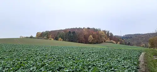 Blick aus Südosten zum Schlossberg mit dem Burgstall