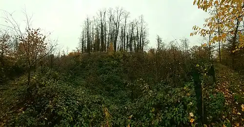 Panorama des Burgstalles vom Burggraben im Westen