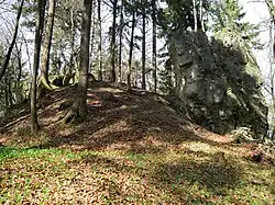 Bild 2: Ansicht des Burghügels und des Grabens im Vordergrund aus südlicher Richtung