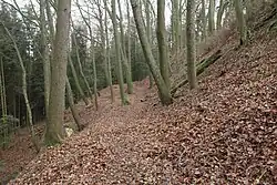 Bild 4: Stark erodierter Ringwallabschnitt an der Nordwestseite des Bergkegels (Dezember 2013)