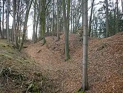 Der Ostwall der nördlichen Vorburg. Blick nach Süden zum Turmhügel (September 2006)