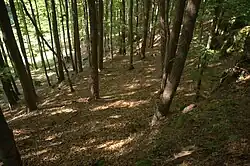 Bild 9: Abraumhalde des Halsgrabens