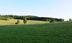 Blick auf bewaldete Felsrücken bei Krebes