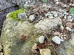 Spisegg, Steine und Mörtel