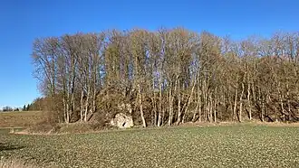 Höhenzug mit Burgstelle