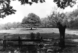 Standort des Burgwalls Vorsfelde, heute eine Wiese