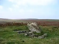 Steinkiste bei Drizzlecombe