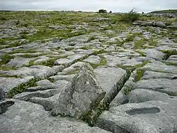 Der Burren