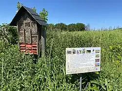Insektenschutz in Busch