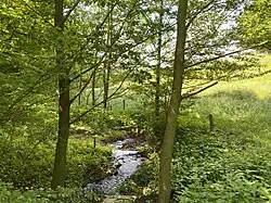 Buscher Bach östl. Busch