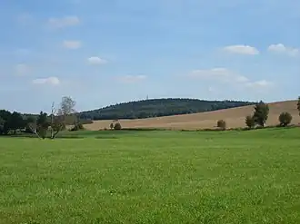 Blick auf den Butterberg aus Richtung Rammenau