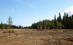 Moor auf halber Wegstrecke