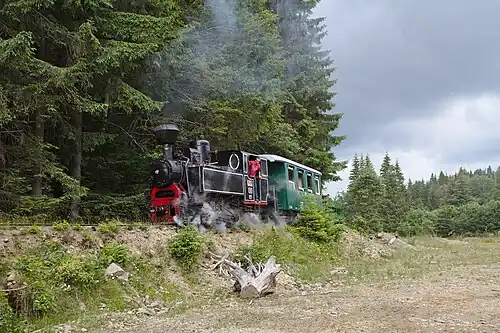 Dampfzug mit 764-243 auf dem erhaltenen Teilstück des oberen Abschnittes bei Comandău (Juli 2013)