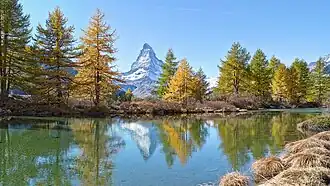 Grindjesee 2334&nbsp;m&nbsp;ü.&nbsp;M.