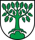 Bergdietikon
