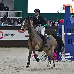 Beat Mändli und Louis beim CHI Genf (2013)