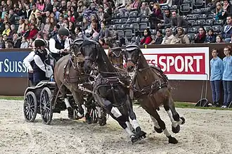 Kegelfahren, CHI Genf, 2013