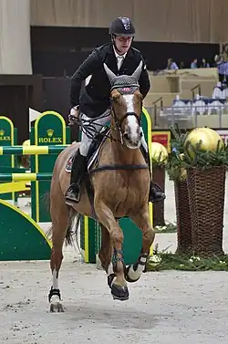 Fabio Crotta mit Rubina VIII beim CHI Genf 2013