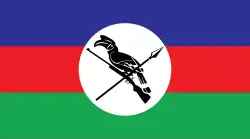 Chin National Defence Force