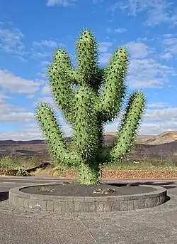 Metallskulptur eines Pachycereus am Eingang