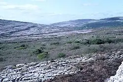 Blick ins Tal vom Townland Derrynavagh