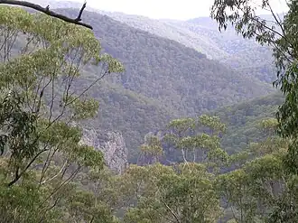 Callaghans Canyon im Nowendoc-Nationalpark