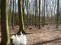 Forschungsfeld vom Süden aus