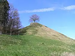 Calver Bühl, stark magnetisierter Vulkanschlot am Talhang der Erms bei Dettingen[6]