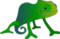 Chameleon