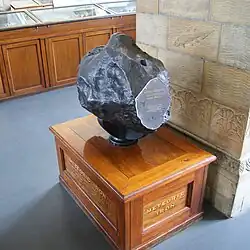 Teilstück am NHM (London)