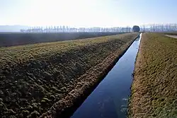 Canal d’Entreroches in der Ebene südlich des Neuenburgersees, Blick nach Norden