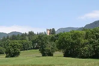 Ruine Neu-Süns in Paspels