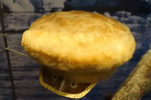 Whitecoatmütze, Ostgrönland (1883)