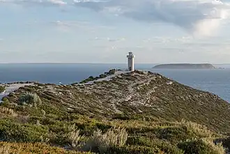 Leuchtturm am Cape Spencer
