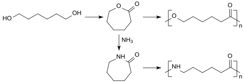 Synthese der Monomeren Caprolacton-Caprolactam aus 1,6-Hexandiol